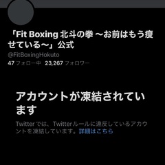 フィットボクシング …