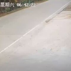 【動画】中国でテスラ…