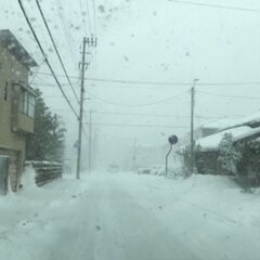 【大雪】金沢市でクリ…