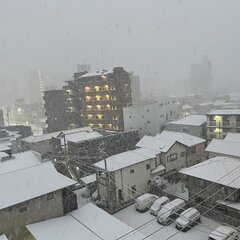 【大雪注意】名古屋市…
