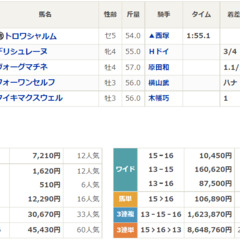 中山7R 3連単86…