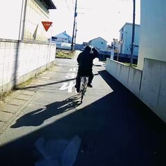 【動画】自転車が一旦…