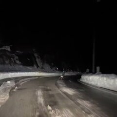 【動画】鹿さん 路面…