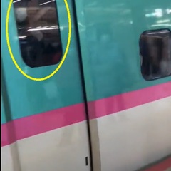 【動画】新幹線の車い…