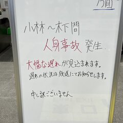 【成田線】木下駅～小…