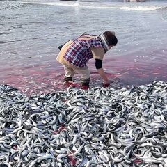 【画像】新潟県糸魚川…