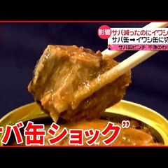 【悲報】サバ缶ショッ…