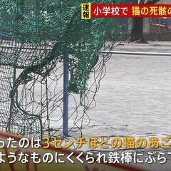 さいたま市の小学校の…