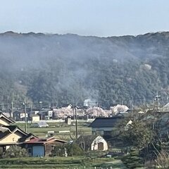 【火事】鳥取市青谷町…
