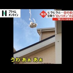 【動画】長野県佐久市…