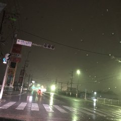 【台風20号】和歌山…