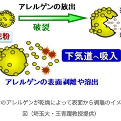 【花粉爆発】12日は…