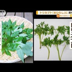 【悲報】トリカブトの…