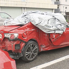 【飲酒運転】南怜華さ…