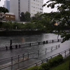 【氾濫】東京 目黒川…