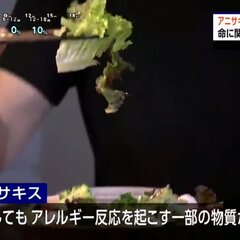 【恐怖】アニサキスア…