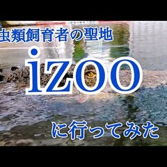 【悲報】動物園iZo…