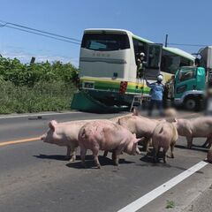 【事故】北海道八雲町…