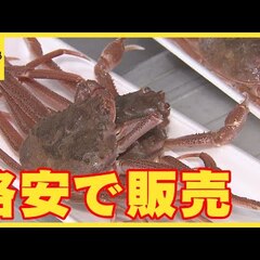 【画像】北海道産のズ…