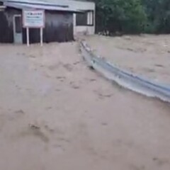 【大雨】奄美大島で土…