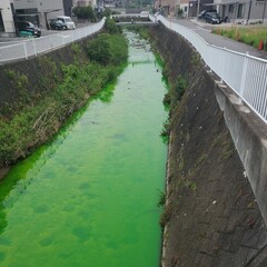 【画像】奈良県生駒市…