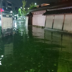 【台風21号】京都市…