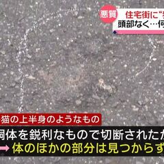 埼玉県春日部市 住宅…