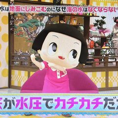 NHK・チコちゃんに…