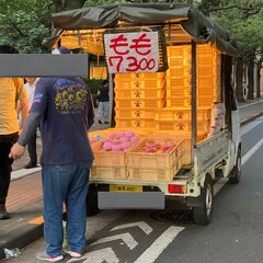 もも7コ300円 疑…