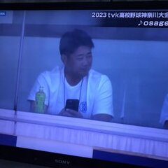 全国高校野球神奈川決…