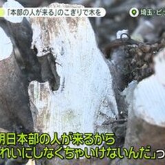 【悲報】ビッグモータ…