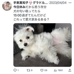 【炎上】37歳グラド…