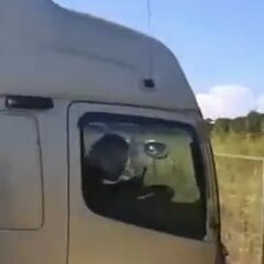 【動画】スマホ運転の…