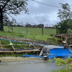 【画像】辺野古プロ市…