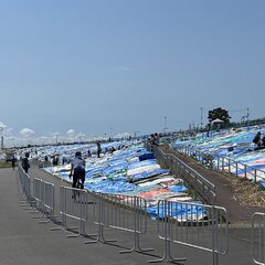 【画像】江戸川花火大…