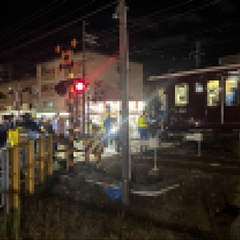 【阪急電車】淀川の花…