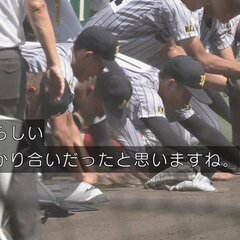 「甲子園の土を持ち帰…