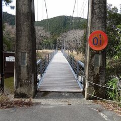 【びっくり道路選手権…