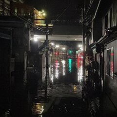 【台風7号】京都 福…