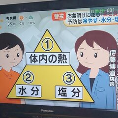 【めざまし8】体に蓄…