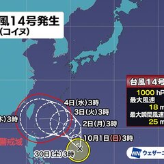 【コイヌ】台風14号…