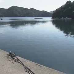 【死亡事故】三重県南…