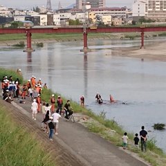 【水難事故】大和川で…