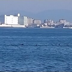 【動画】兵庫県神戸市…