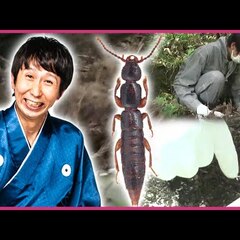 【動画】アンガールズ…