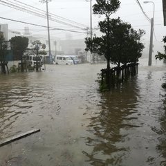 【台風24号】沖縄市…