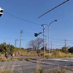 【動画】鹿島臨海鉄道…