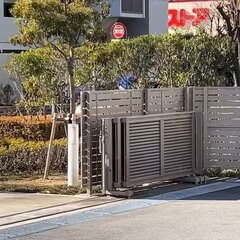 名古屋で野生のドアラ…