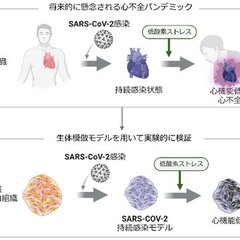 【注意喚起】コロナ感…