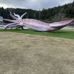 石川地震 能登町の巨…